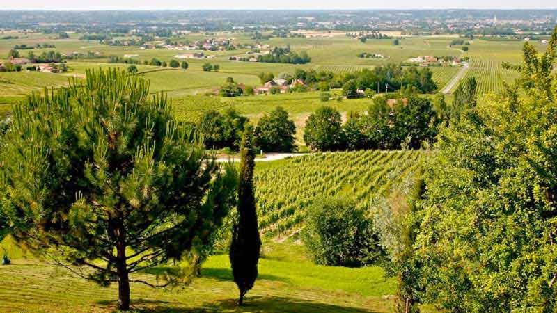 Maison Monbazillac Avec Piscine 2-4 Pax Luaran gambar